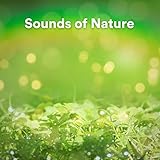 Nature Sounds Records