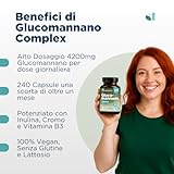 WESALYS B0CZ47TF24 lato 2