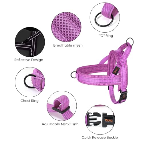 Didog No Pull Dog Harness with Soft Mesh Padded,Reflective & Quick Fit Light Weight Dog Strap Vest Harness,Easy for Walking Training (XS:Chest 15-18", Purple) - Image 4