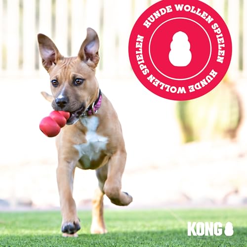 KONG Gyro - Interaktives Hundespielzeug mit Leckerlispender - Slow Feeder für Gesundes Fressen - Für Mittelgroße/Große Hunde