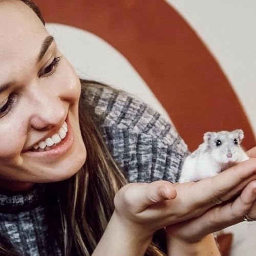 Chapter 13: Be the Change