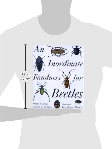 An Inordinate Fondness for Beetles
