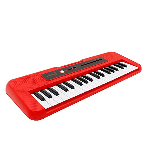 Ffalstaff Mini Tastiera Elettronica - Uso Melodica...