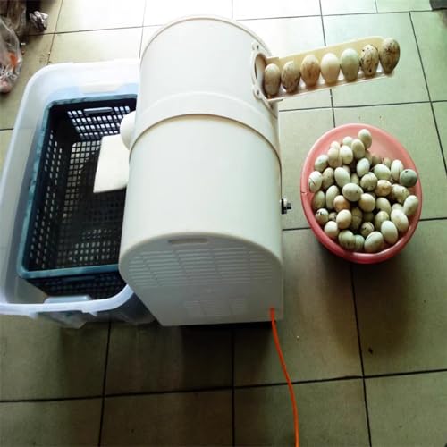 NYMFEA Automatic Egg Cleaning Machine, 120W, Commercial Chicken Duck Goose Egg Brushing Machine, ABS Body, Nylon Brush, 220V