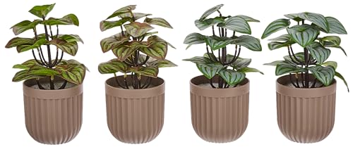 amazon basics Artificial Plants with Pot| Realistic Appearance | Durable Plastic | Versatile Use | No Maintenance | Home Decor | 10 cm X 24 cm (Pack of 4) - Image 5
