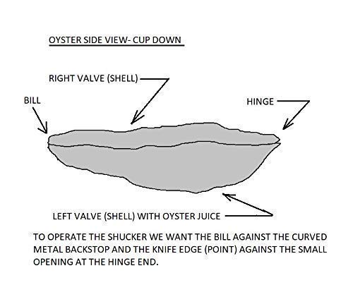 Injury Free Stainless Steel Horizontal Oyster Shucker