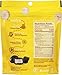 Tru Fru Nature's Bananas Hyper-Dried Fresh in Dark Chocolate 4.5 Ounce Bag