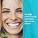 Stevita Hum, Cinnamon - Sugar-Free Gum - 12 Pieces, Pack of 12 - Supports Oral Health -, Non-GMO, Vegetarian, Keto, Gluten Free - 72 Total Servings