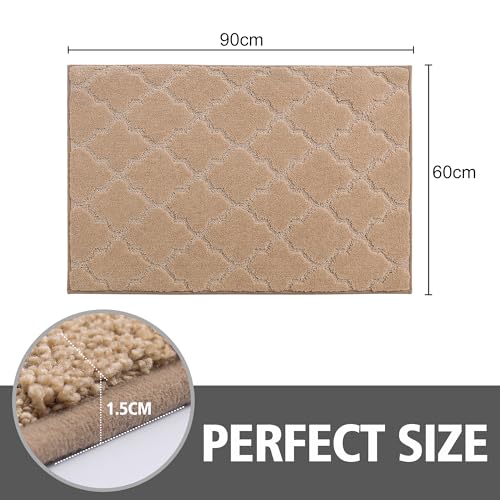 COSY HOMEER Front Door Mat 60x90 CM, Dirt Trapper Floor Mat - Image 2