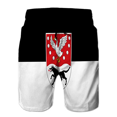 Swim Trunks Men's Beach Shorts Casual Polyester Shorts Flag of prignitz in Brand