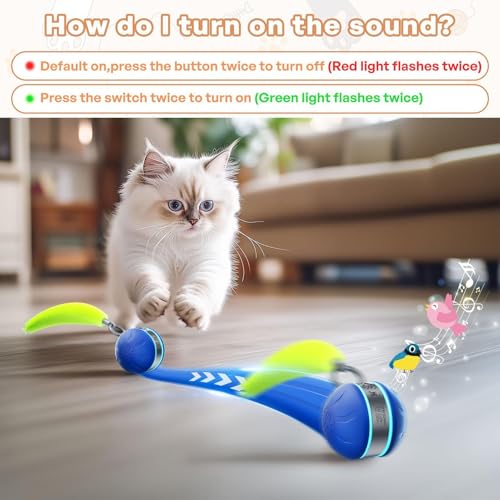 Boule interactive chat : balle roulante rechargeable Type-C à 2 vitesses pour le jeu au sol