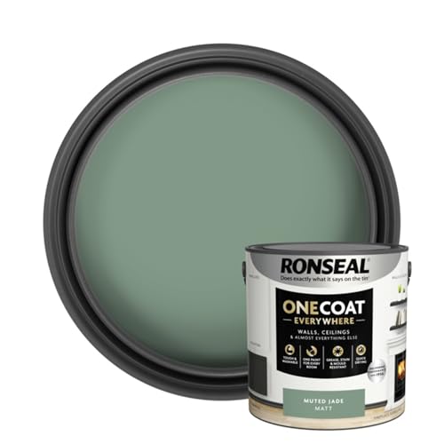 SAVING HUB Wall & Ceiling Paint - 2.5L One Coat Everywhere Matt Paints - Tough & Washable Walls Paint Matt - Quick Drying Matt Paints for Ceiling - Grease, Stain & Mould Resistant (Muted Jade)