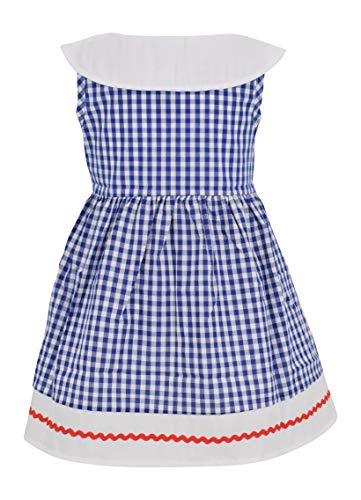 Unique Baby Girls 4th of July Gingham Flag Red White Blue Dress3
