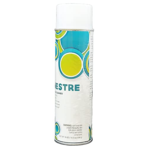Jani-Source Fenestre Premium Foaming Glass Cleaner, 19 Oz Aerosol (Case Of 12) #TOP3