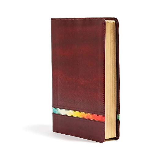 NIV Rainbow Study Bible, Maroon Leathertouch: New International Version, Maroon Leathertouch