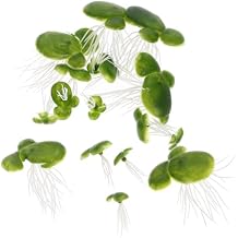18pcs Floating Artificial Plants Duckweed Decorations for Aquarium Safe Lifelike
