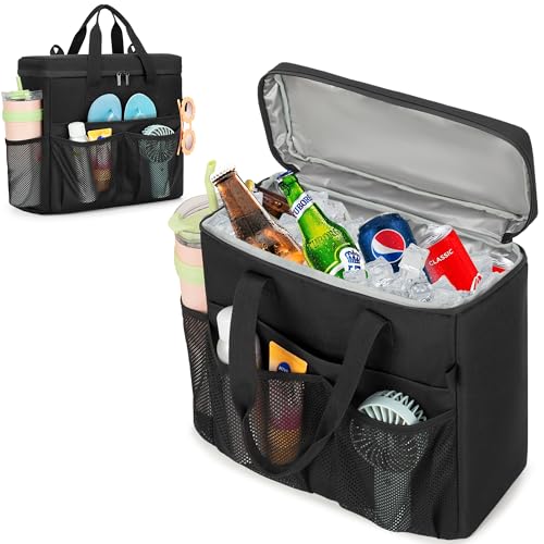 Rexmica Insulated Cooler Bag for Beach, Camping & Travel