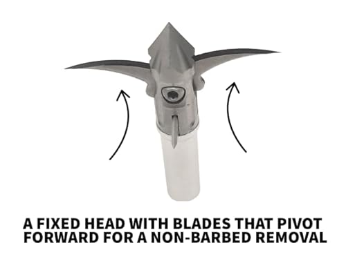 Black Flag Archery - Hemorrhage Archery Broadhead - 1.25" Cut - 4 Blade - 100 Grain - 3Pk #TOP5