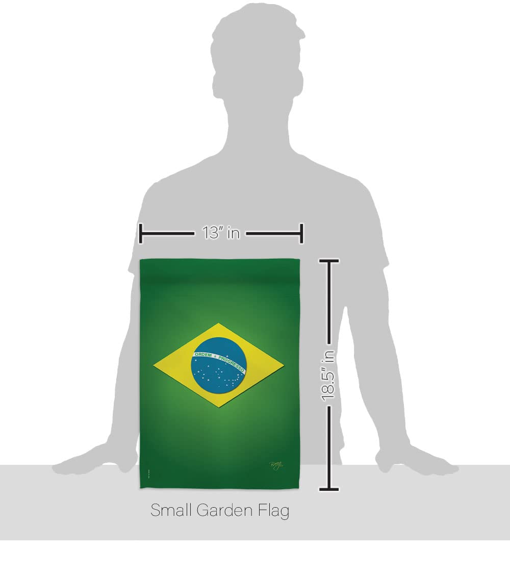 CONTEMPORANEA タンバリン ブラジル国旗デザイン2個セット