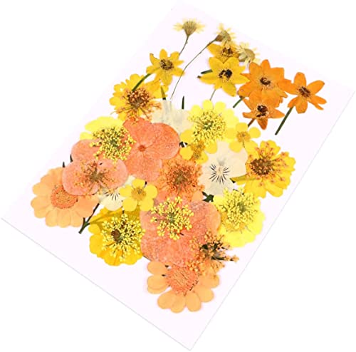 Flores secas naturales Lindagary 40 piezas para manualidades miniatura 1