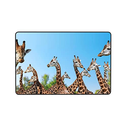 Modern Area Rug For Living Room Colorful Giraffe Fans Lovers Printed Non-Slip Absorbent Carpet For Bedroom Kitchen Home Outdoor 72"X48" #TOP5