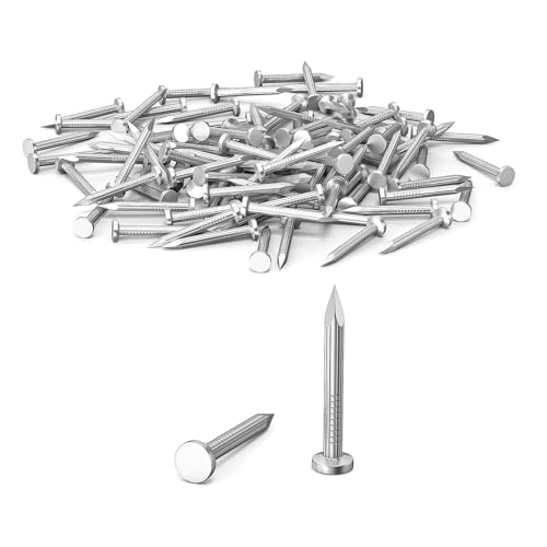 ORTAVA 100 Stück Stahlnägel, Nägel für betonwände, Nails Verzinkt, Nagel Holzarbeiten Ziegelstein, Universelle Einsatzmöglichkeit im Innen- und Außenbereich (25mm)