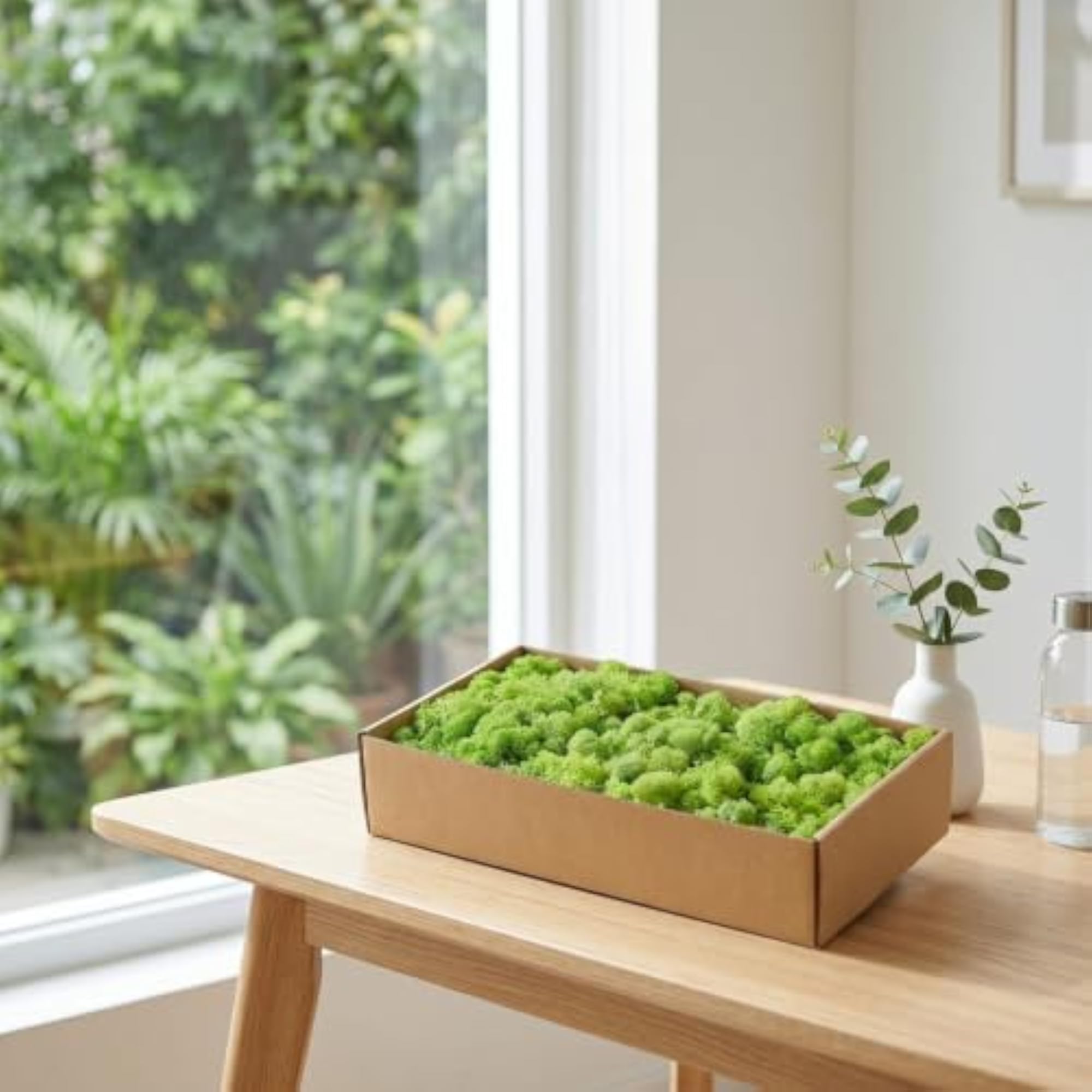 Natural-Looking Preserved Foliage Decorative Plants for Home Decor