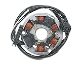  Lichtmaschine Stator für CPI SX 50, SM 50