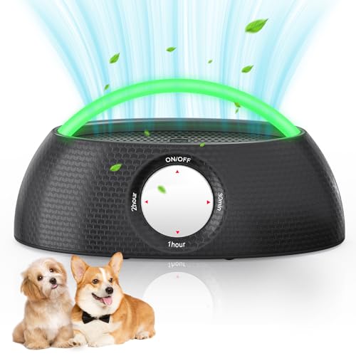 Rechargeable Ozone Generator with Negative Ion
