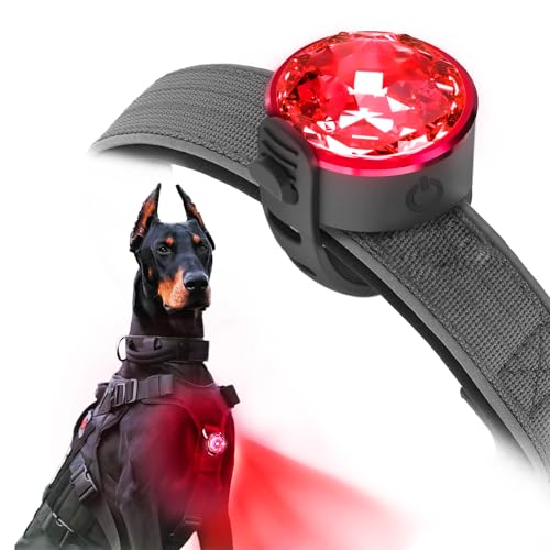 UMIONE PET LIGHT : lumière imperméable pour chien, durable et idéale pour les promenades nocturnes (emballage cadeau), Plastique