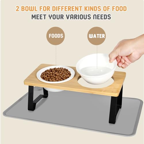 Lannvan Katzennapf Erhöht, 2er Set Futternapf Katze aus Keramik mit Napfunterlage Silikon, Ergonomischer Futterstation 15°gekippte Katzen Hundenapf,Fressnapf und Wassernapf für Katzen und kleine Hunde