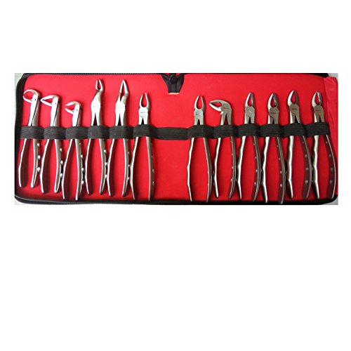 Dental Premium Forcep Kit (Set of 12) (VEECARE) S.S Finish Dental