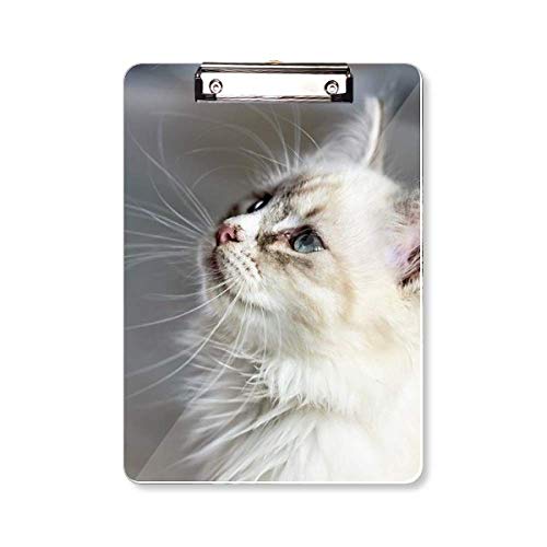 Bloc-notes pour animal de compagnie blanc A4 pour le suivi quotidien de votre compagnon