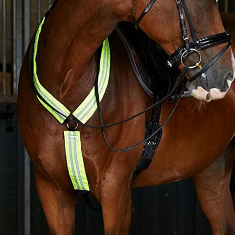 Masta Hi Vis Adjustable Breast Plate for Horses Cover
