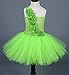 Tutu Dreams Baby Girls Green Fairy Princess Costumes Set Flower Sash Light Green Tutus Birthday Party (S, Lime green)