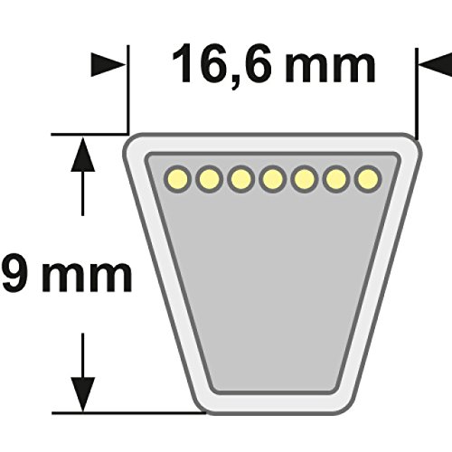 Cinghia frizione 5L – 800 – Lunghezza esterna 2032 mm