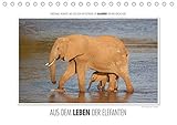 elefanten bilderrahmen 14 Seiten bestehend aus 1 Coverbild | 12 Monatsbilder | 1 Indexseite. Inklusive Papprücken hinten und vorderseitig einer Klarsichtfolie.