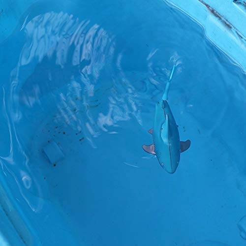 image for Tipmant Mini RC Fish Shark Toys Radio Remote Control Boat Ship Electro