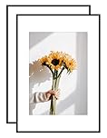 Aluminum Picture Photo Frame Size in A2(42x59.4cm) without Mat and A3(29.7x42cm) with Mat Perspex Glass Front for Wall Mounting in Living Room Bedroom Gallery Set of 2
