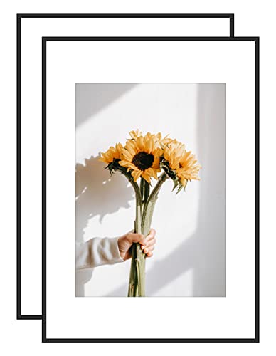 Lot de 2 cadres photo en aluminium A2 (42 x 59,4 cm) sans tapis et A3 (29,7 x 42 cm) avec façade en plexiglass mat pour montage mural dans le salon, la chambre à coucher, la galerie Cover