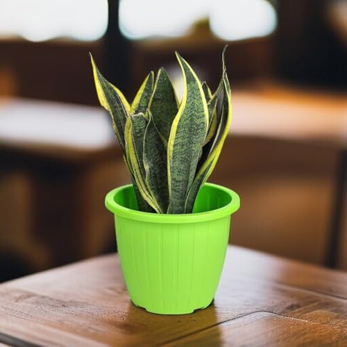 Image of Go Hooked Sunshine Flower Pot /Planters for Home Decor, Plastic Pots for Gardening /Home, Flower Pots Indoor-Outdoor & Planter for Plants (Green) (Pack of 2)