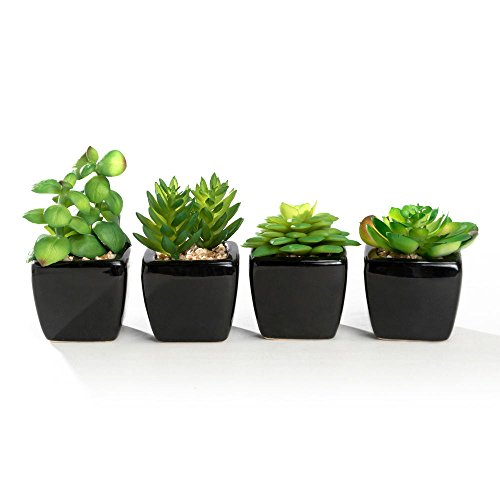 Nattol Modern Mini Artificial Succulent Plants Potted in Cube-Shape Black Ceramic Pots for Home Decor, Set of 4