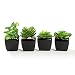 Nattol Modern Mini Artificial Succulent Plants Potted in Cube-Shape White Ceramic Pots for Home Decor, Set of 4 (Black)