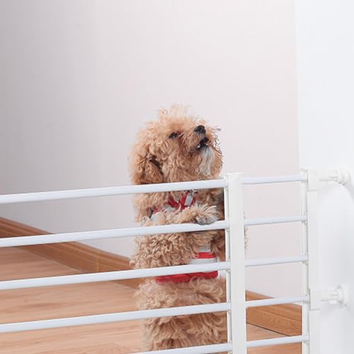 Barrière pour animaux de compagnie multifonction rétractable et stable