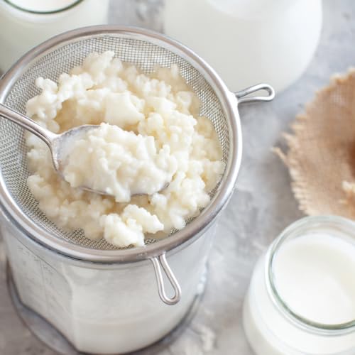 Milk Kefir Grains Organic 5g Compatible with Cow Goat and Sheep Milk