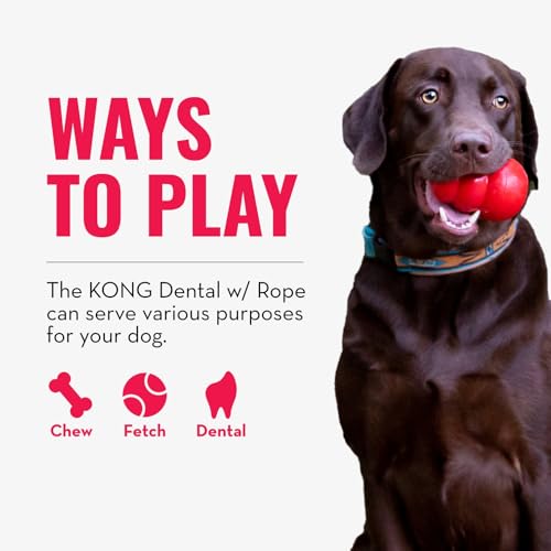 KONG Dental mit Seil - Für die Zahnpflege von Hunden - Befüllbares Kauspielzeug - Reinigt Zähne und Zahnfleisch - Für Mittelgroße Hunde