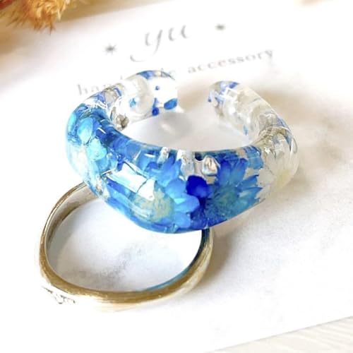 C[Jt WO w O ubTu[ l AΉ <0824znhChEC[JtEtbN>