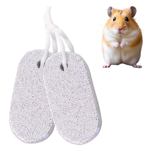 ZOMKIFA 2 pierres à ronger minérales avec calcium, jouet lapin nain hamster accessoires cochon d'inde chinchilla, batonnet à ronger matériau sûr taille...