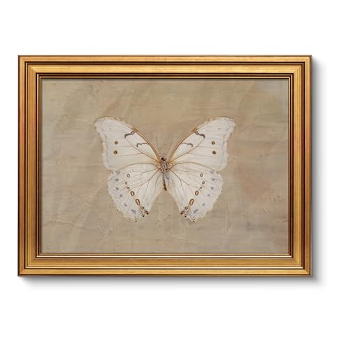 Image of VIYYIEA Vintage Gold Framed Wall Art for Living Room,【Morpho polyphemus】-(16L x 12W)