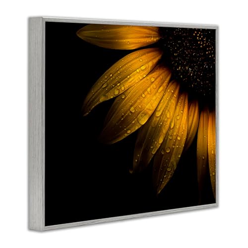 Tournesol blanc Stupell habillez un mur vide avec élégance